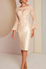 Elegant Mother of the Bride Dresses With Sleeves Short Party Dresses with Lace