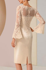 Elegant Mother of the Bride Dresses With Sleeves Short Party Dresses with Lace