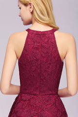 Simple Evening Dresses Hi-Lo Wine Red Cocktail Dresses Lace Cheap